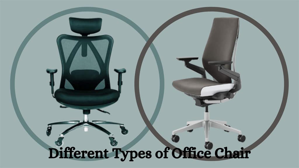 Different Types of Office Chairs | About to Find the Best Chair